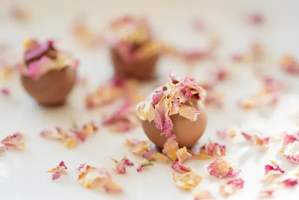 ベット24スター カジノ Android/iOS アプリ